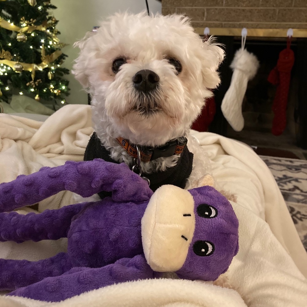 Meet your Posher, Ilyana